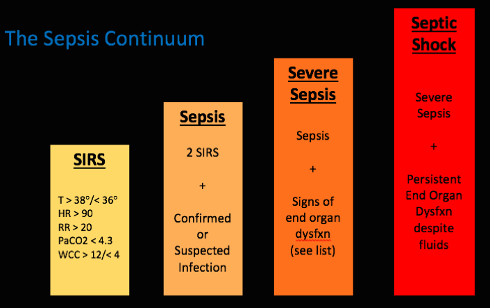 Resus Septic Shock Level A — St. James' Hospital Emergency Department
